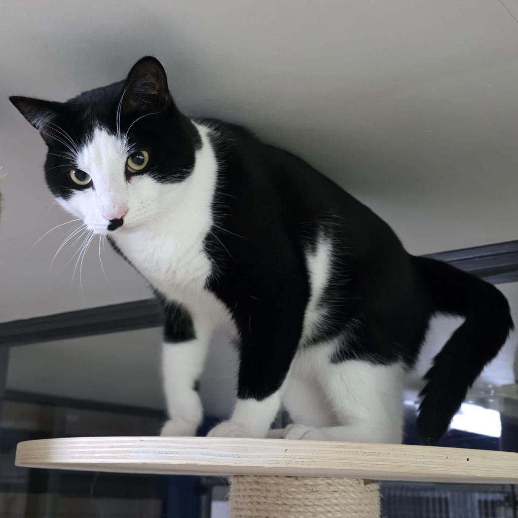 1011562f-b5c5-4d28-9c4c-d4b6165a147f