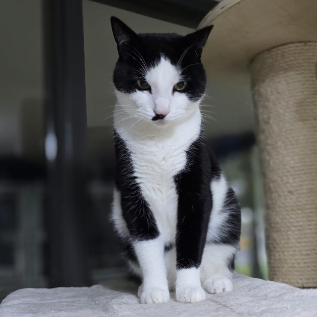 54c67fd1-c930-428a-b6b0-6c6ccd55beec