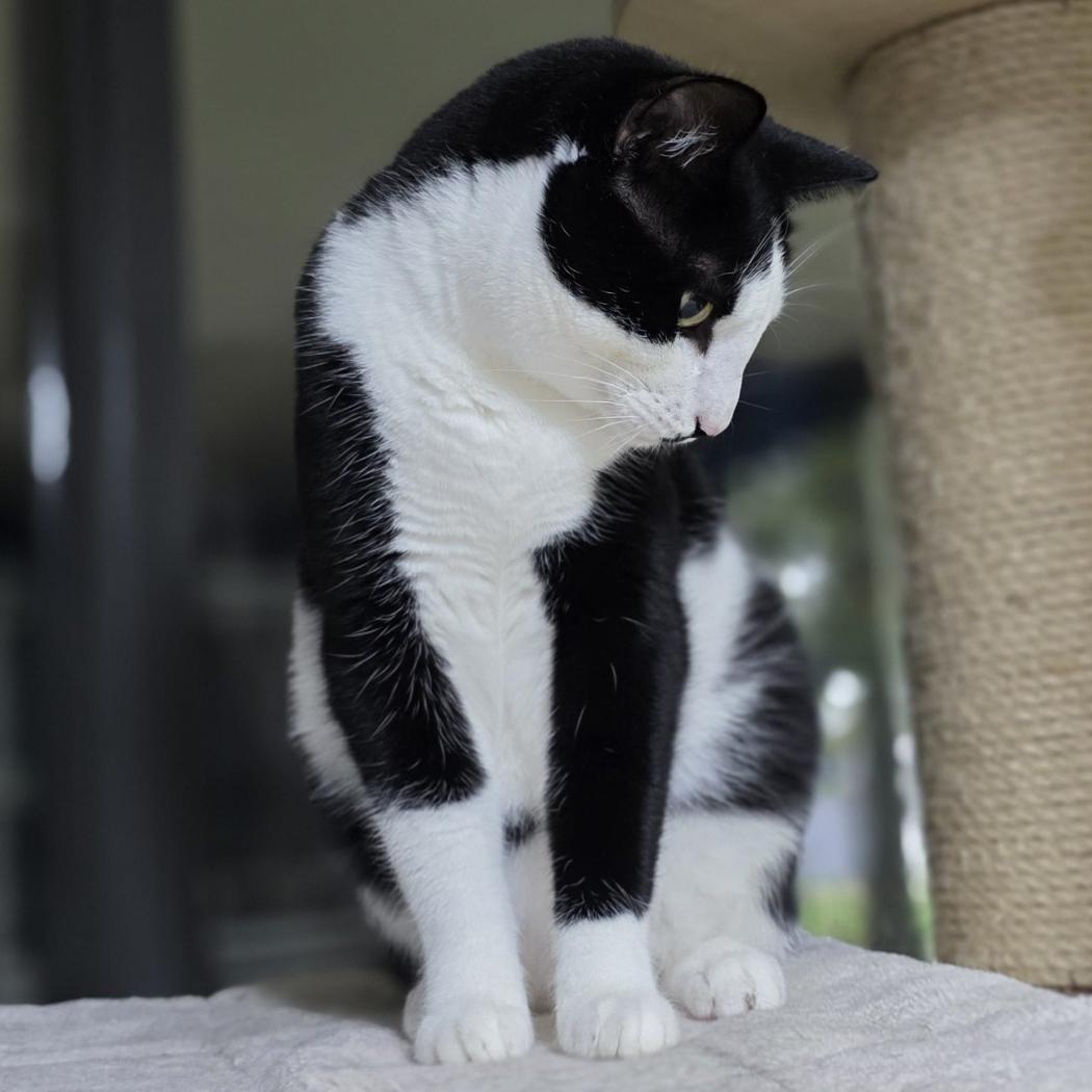 d3769d63-2883-4093-97ab-31dca31c61e0