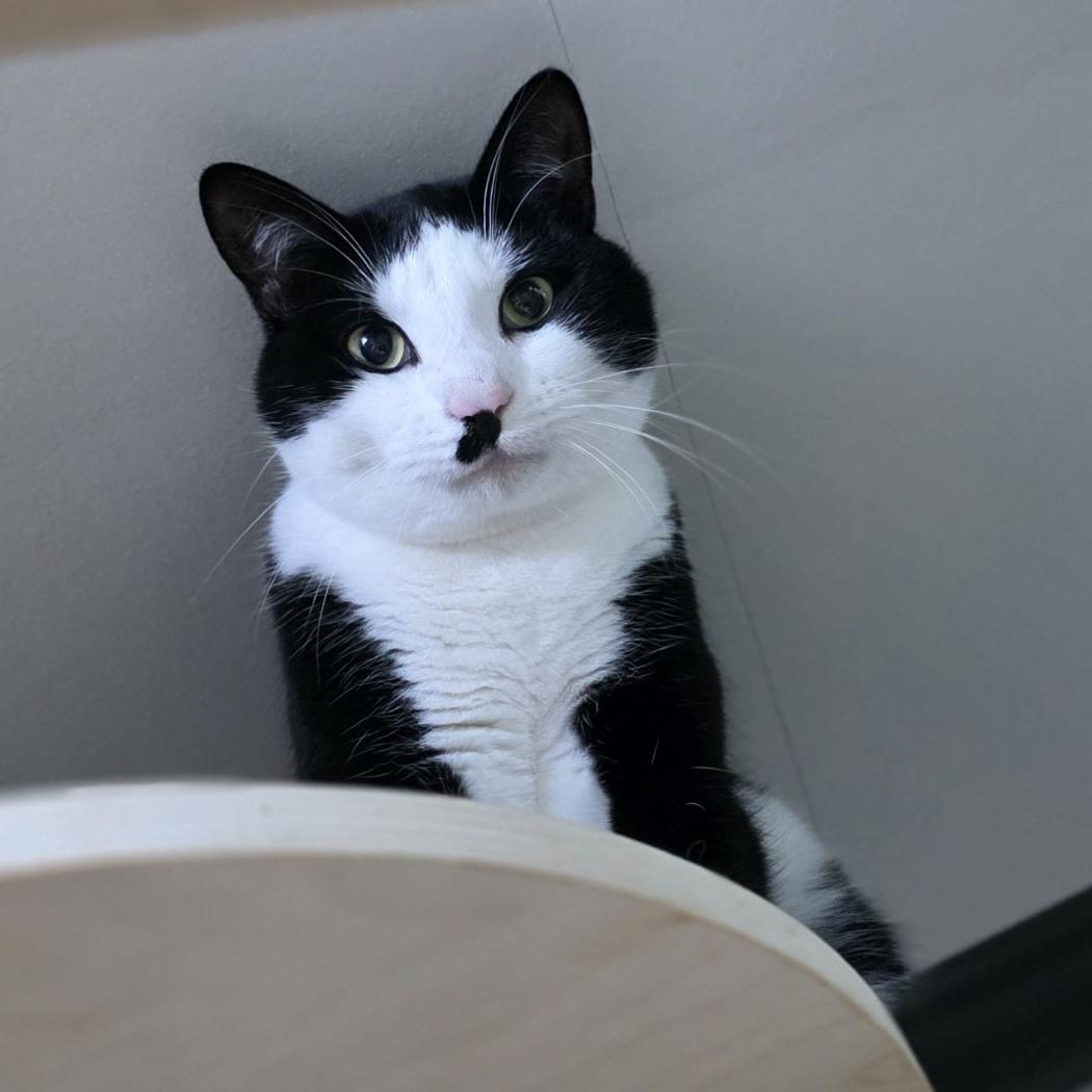 fad8a4a1-7bde-4797-a31c-7260b81c9a6c