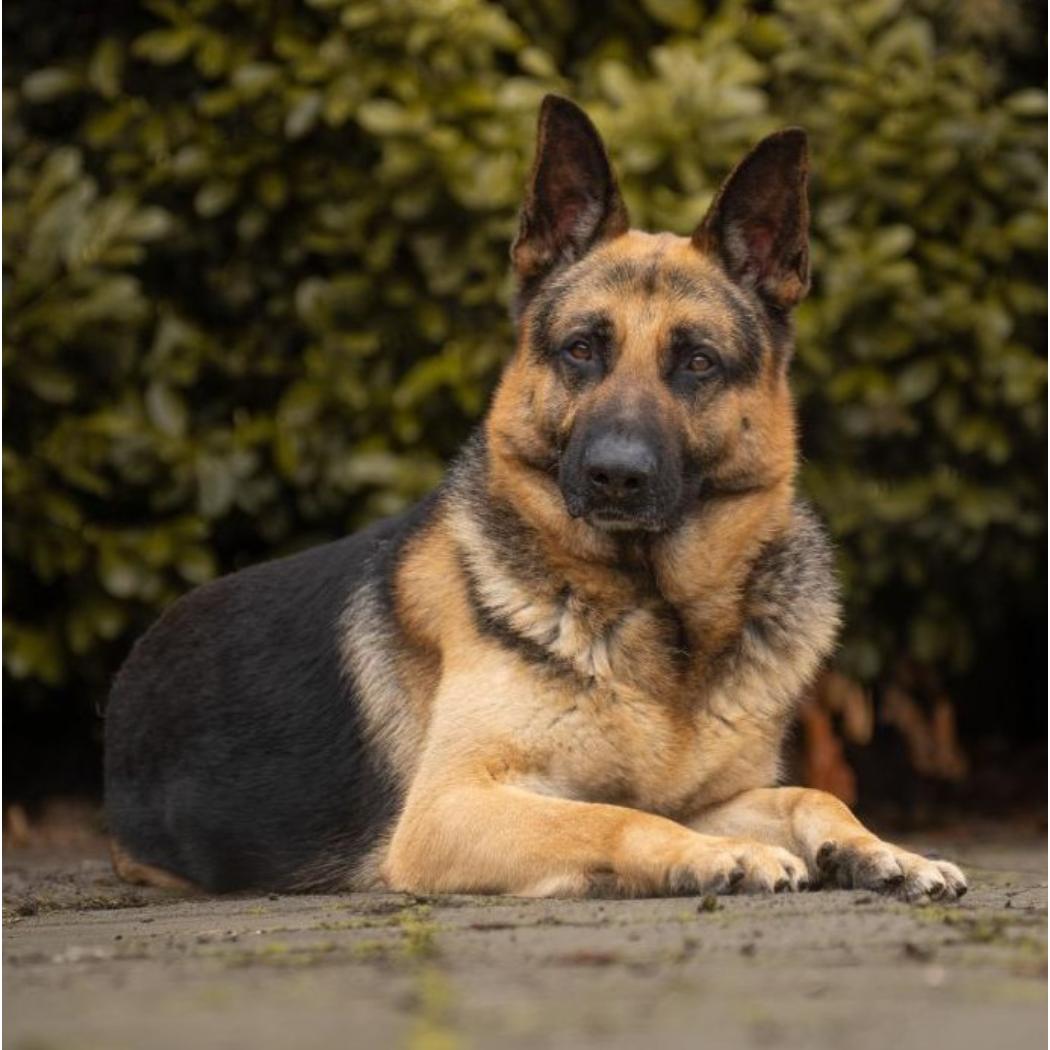 DSC02148-@cvbfotografie