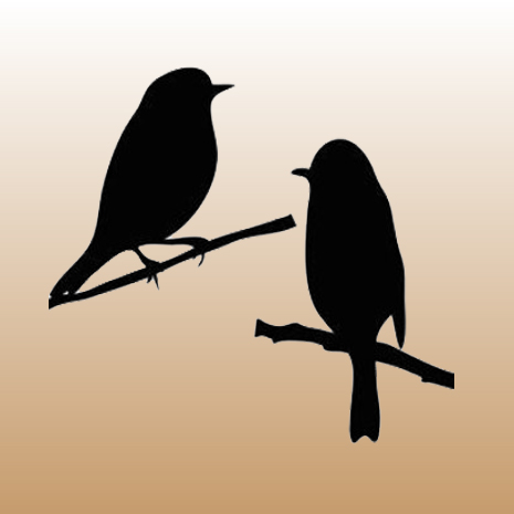 Twee vogels