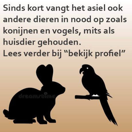 Overige dieren
